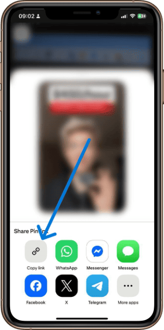 Tap the Share button then copy the pin link to clipboard.